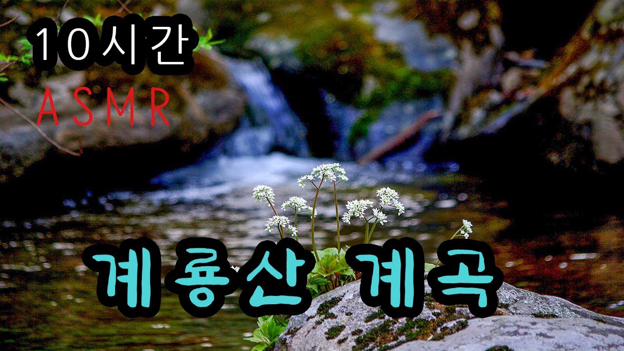 ( K-ASMR ) 10시간 / 충남 게룡산 갑사 계곡 물소리 / 나쁜 기운을 몰아내고 좋은 기운을 불러들이는 소리 / 힐링ASMR