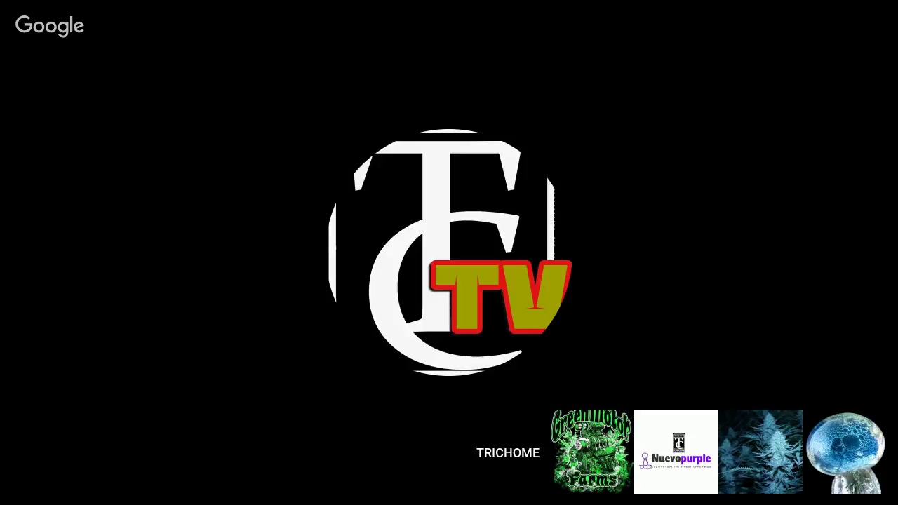 Trichome Chasers Episode  #52