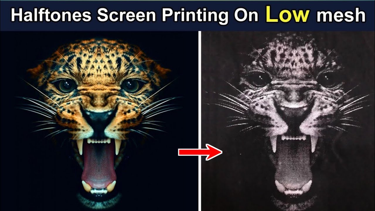 Screens of Dots | Discovering the Magic of Halftone Printing