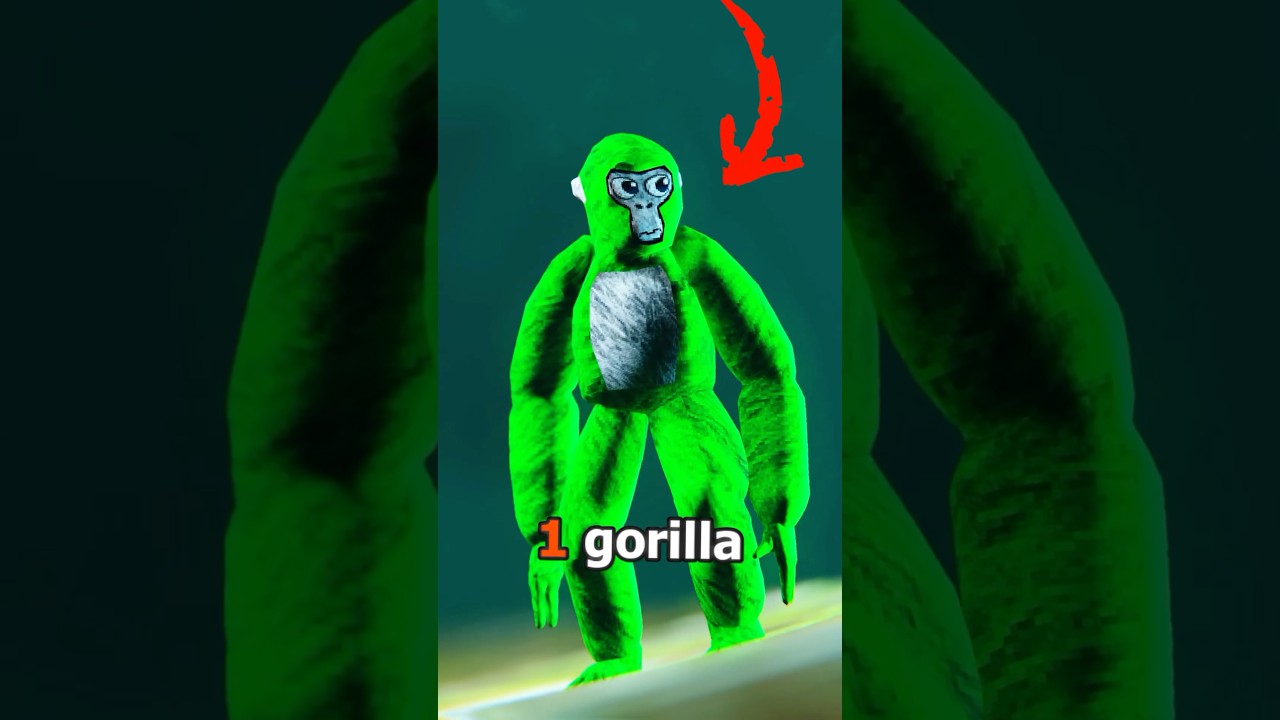 Где НОГИ? #gorillatag