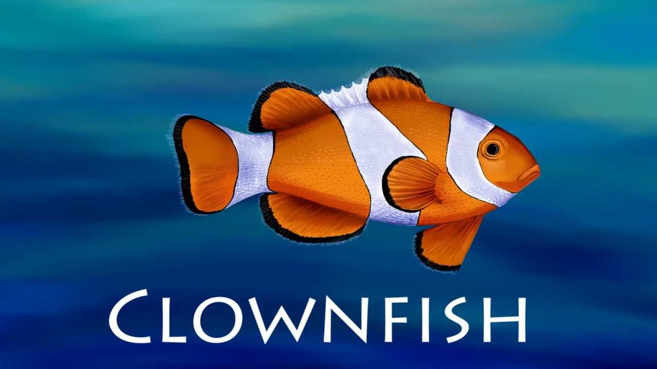 Ocean Animals for Kids | Zoo animals for preschool and kindergarten