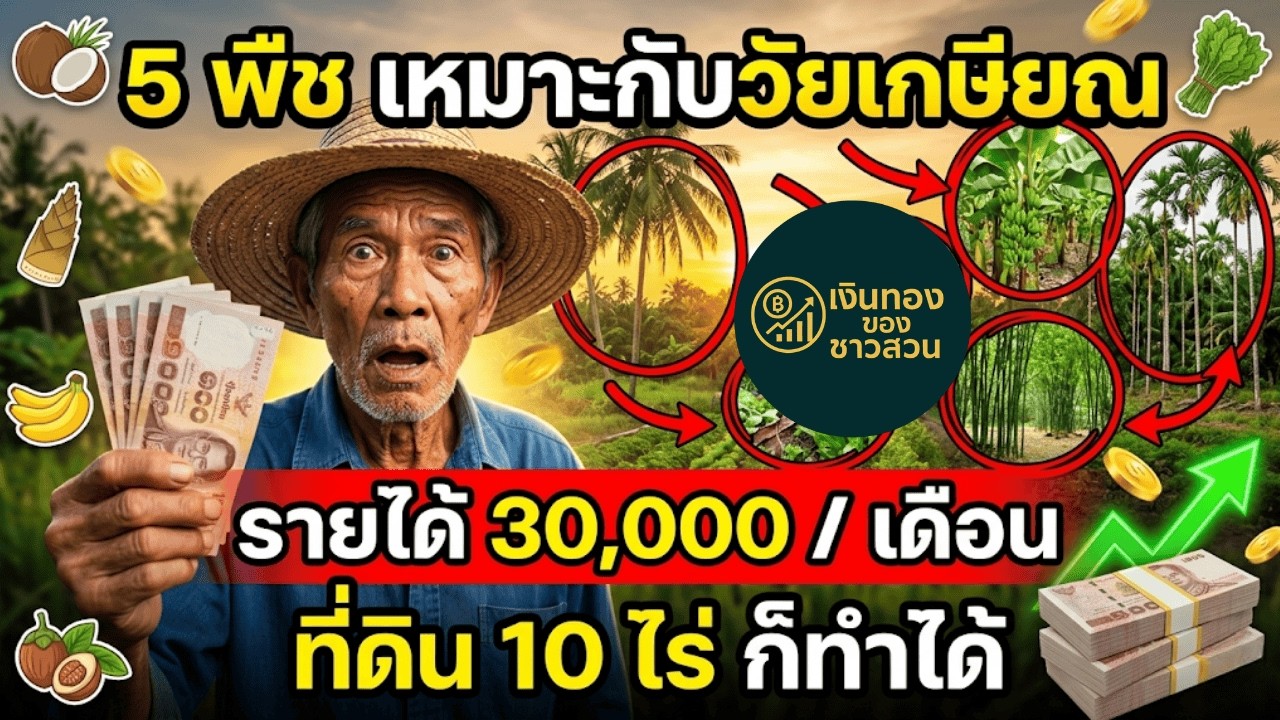 5 พืช เหมาะกับวัยเกษียณ รายได้ 30,000 บาทต่อเดือน ที่ดิน 10ไร่ ก็ทำได้ สรุปครบจบคลิปเดียว