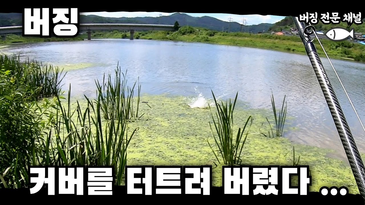 버징 낚시 !! 커버를 터트려 버린 덩어리 !!