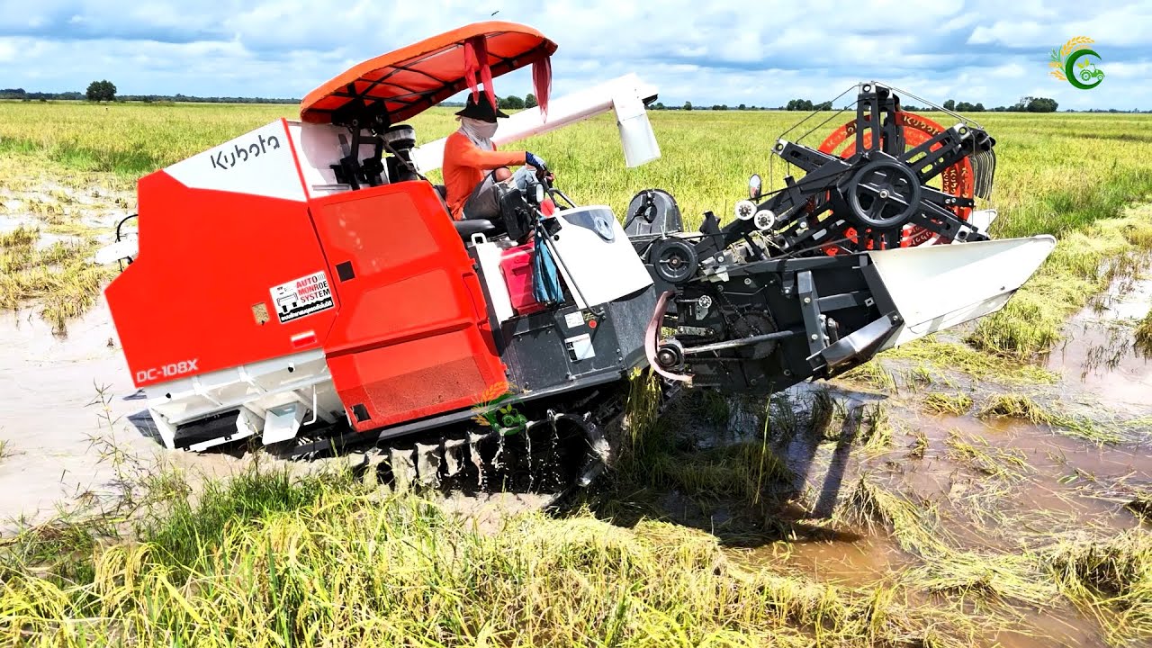 Nice Action Combine Harvester Kubota DC108X Working In Deep Water Cropping Rice ម៉ាស៊ីនប្រមូលផល