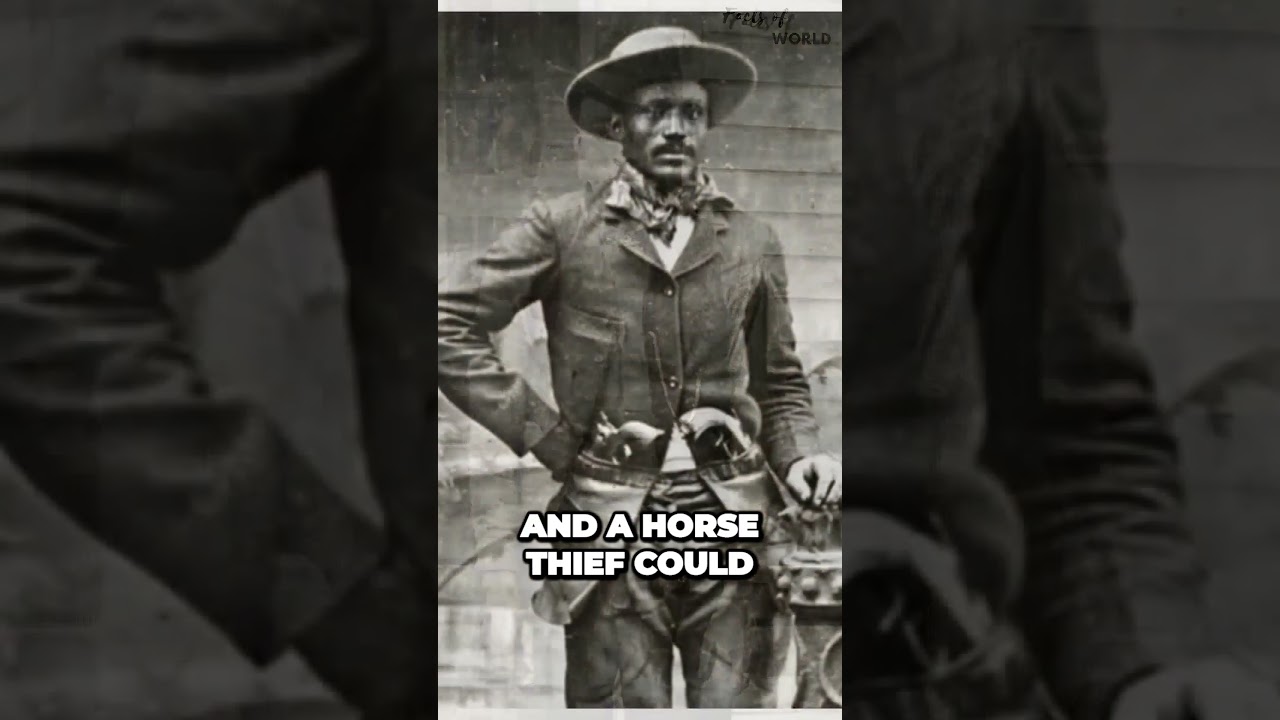 The Surprising Truth About Cowboys Debunking Hollywood Stereotypes