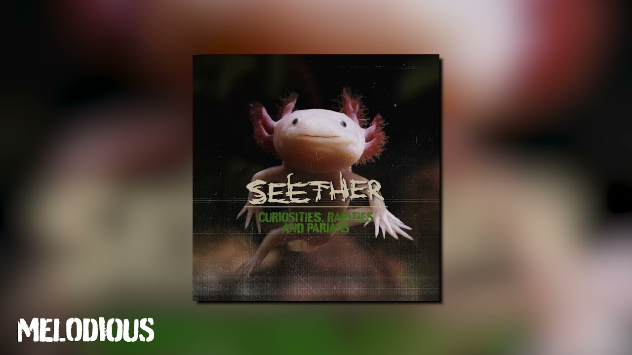 Seether - Melodious (Official Visualizer)