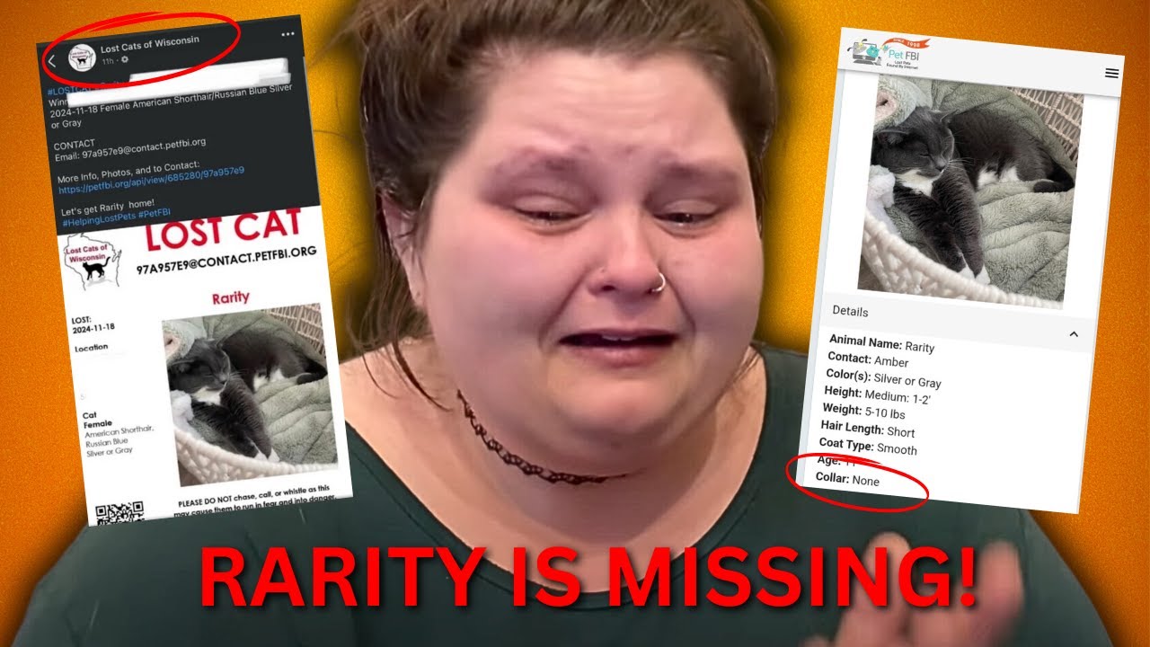 Amberlynn Reid LOST Her Cat Rarity!