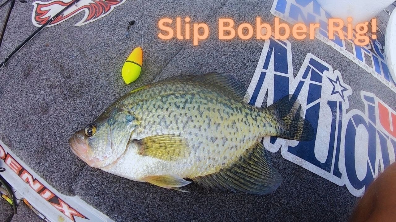 Как ловить краппи на оснастку SLIB BOBBER! (ПРОСТО И ЛЕГКО!!)