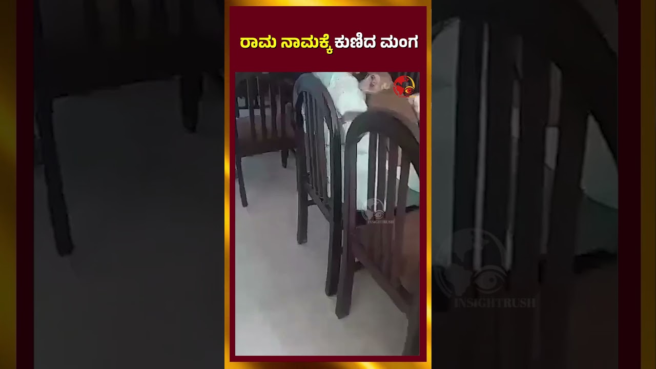 Viral Video |  ರಾಮ ನಾಮಕ್ಕೆ ಕುಣಿದ&nbsp;ಮಂಗ | Insightrush News  | Trending News