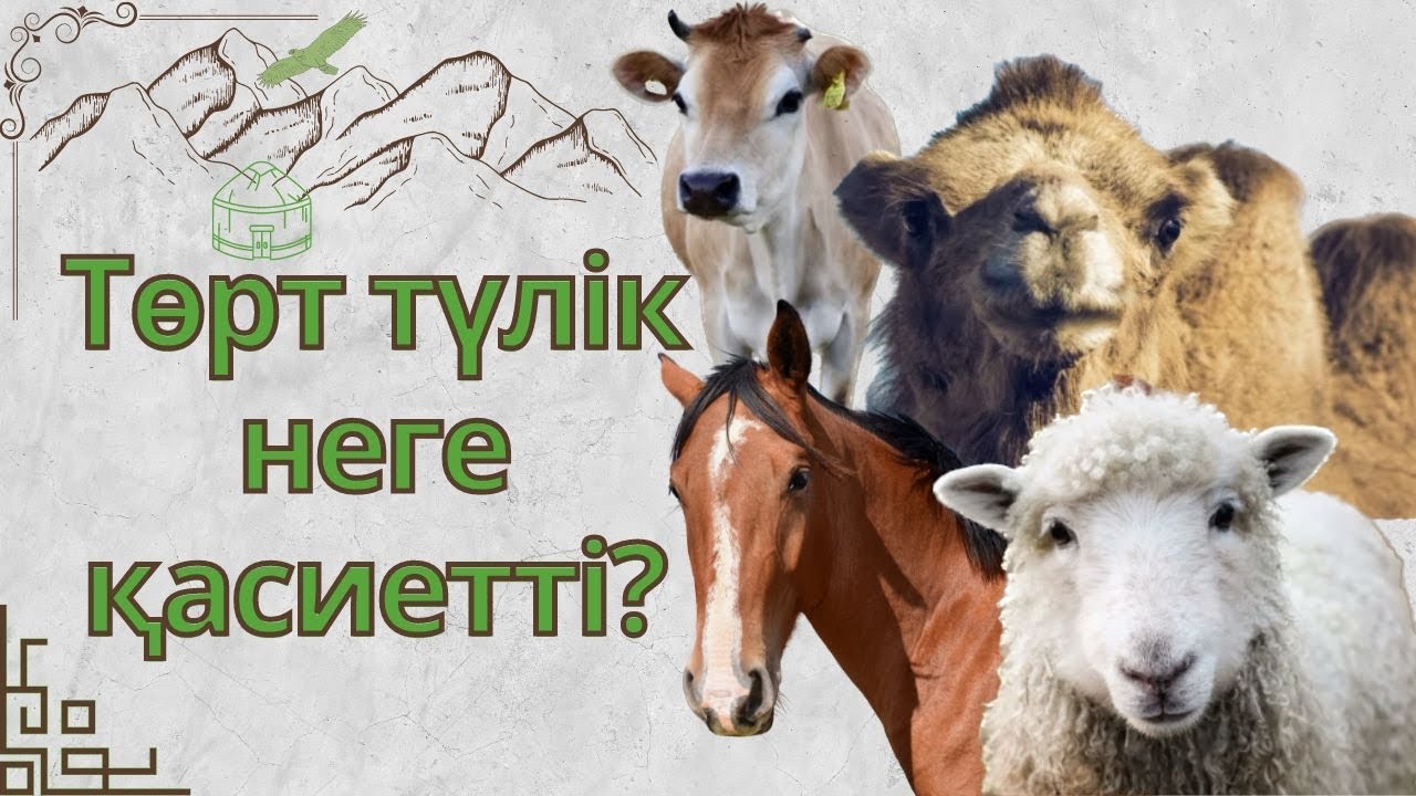 ТӨРТ ТҮЛІК НЕГЕ ҚАСИЕТІ?