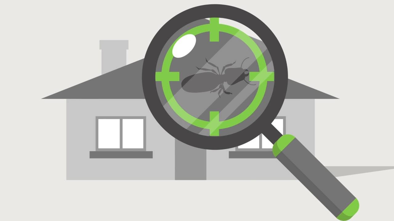 Perth's Commercial Pest Control Experts