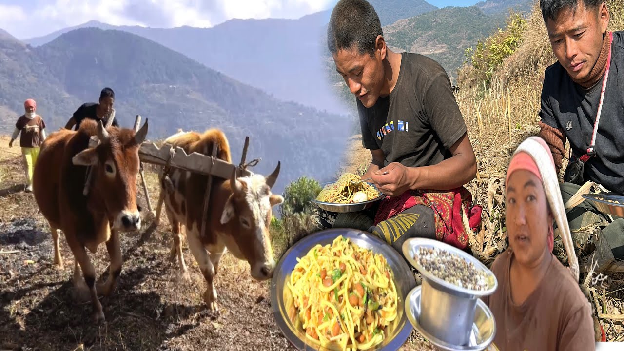 Village Snack Time with Farmers |Noodles,Boiled Potatoes & Roasted Corn @sarmilarai-ic3rz
