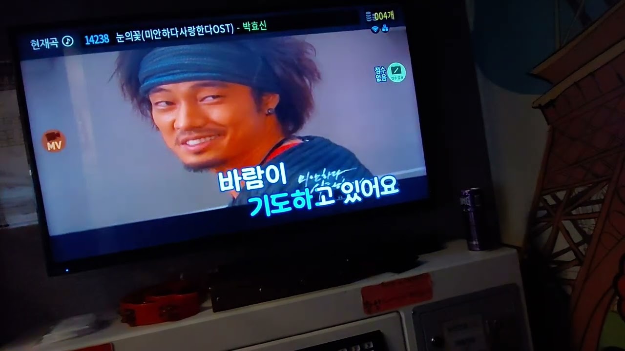 [영상 노래방] 박효신-눈의 꽃(문희연 커버)