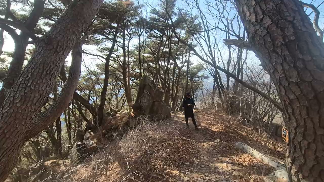 대구 달성군 비슬산 #도성암 주차장 출발~