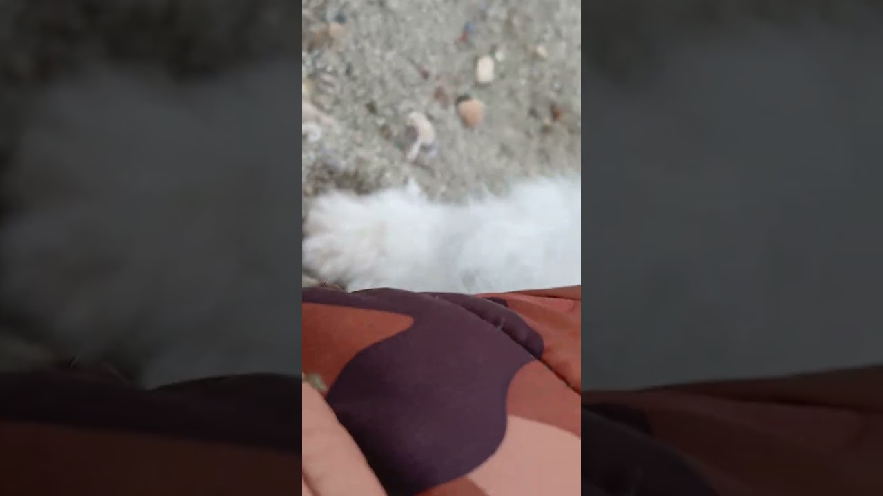J'ai la mer dans me coeur...