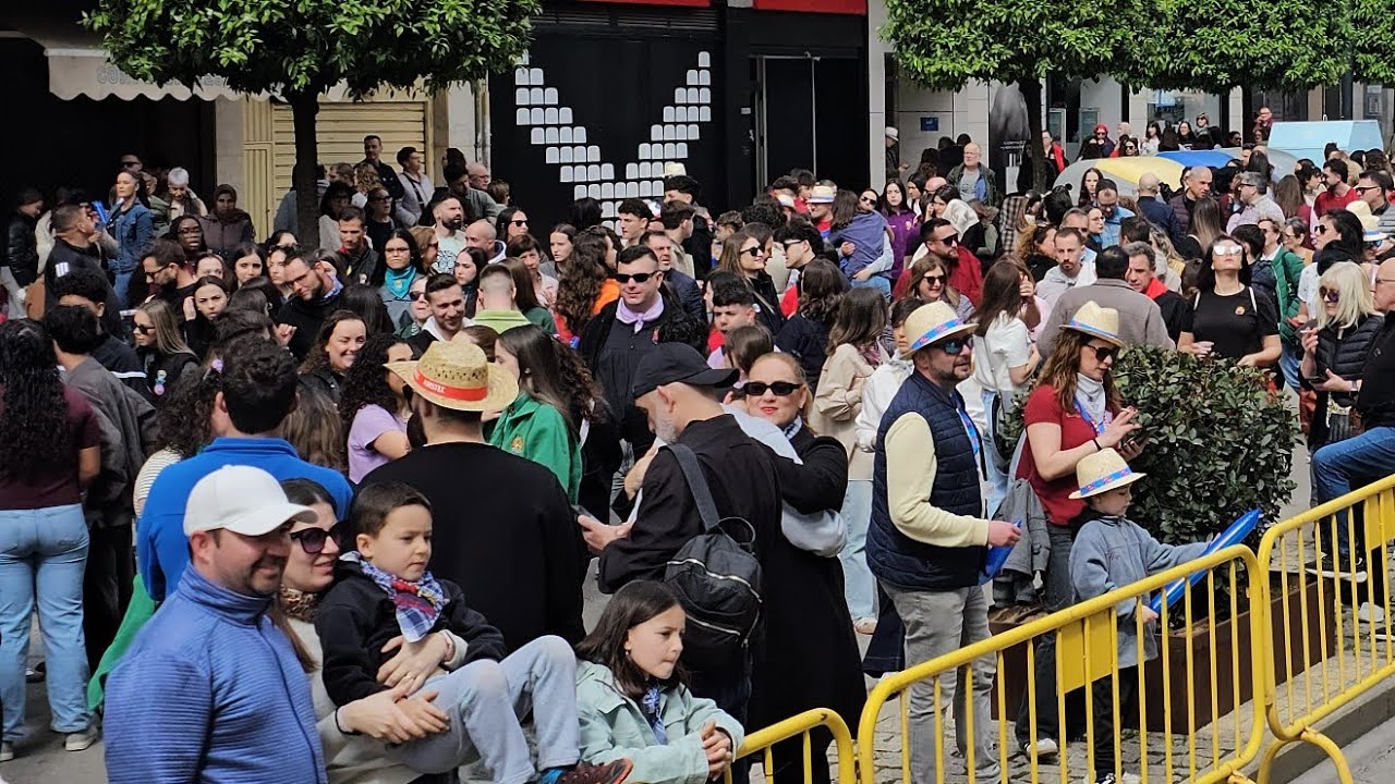 Primera mascleta Alzira fallas2026 ¡TotAlzir@  en directo!