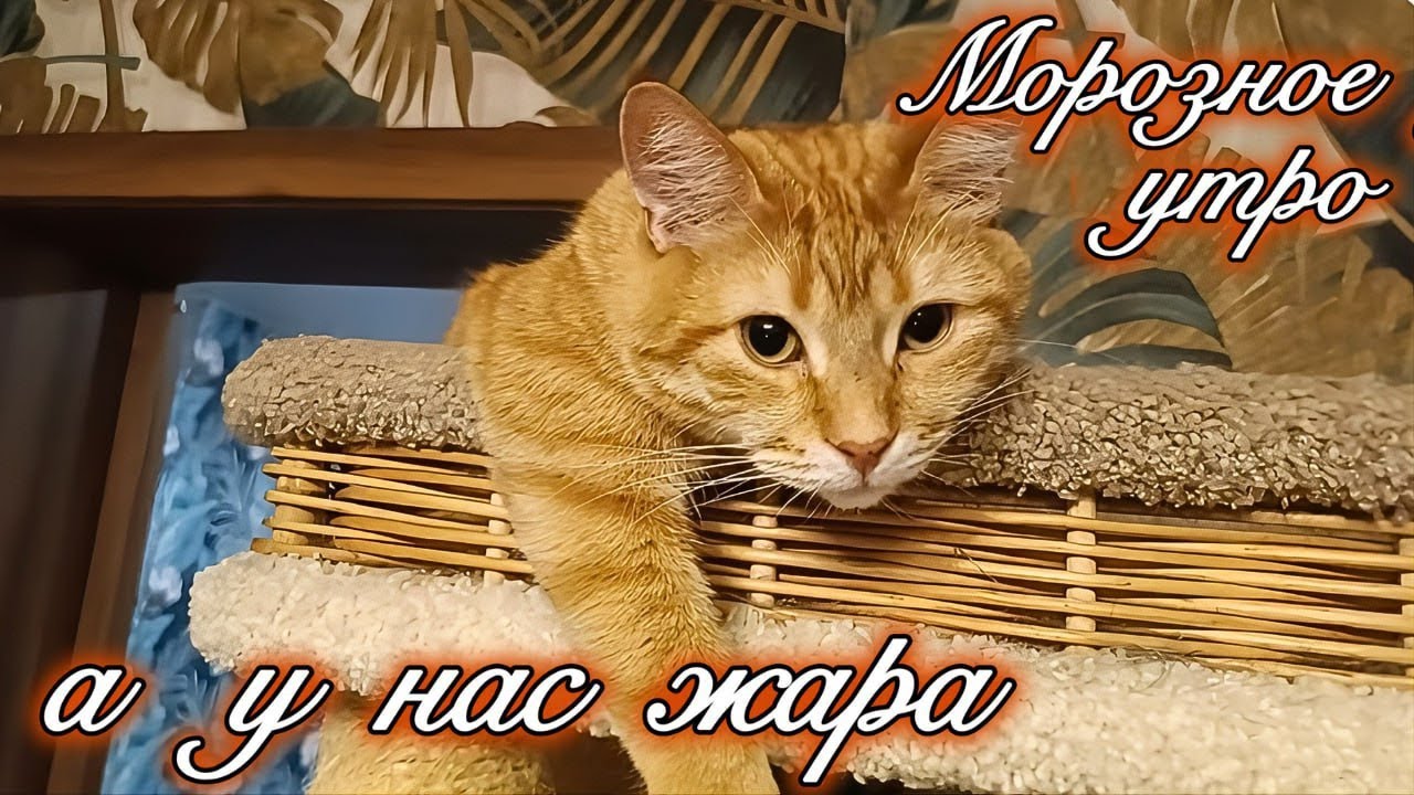 Морозное утро а у нас жара. 
