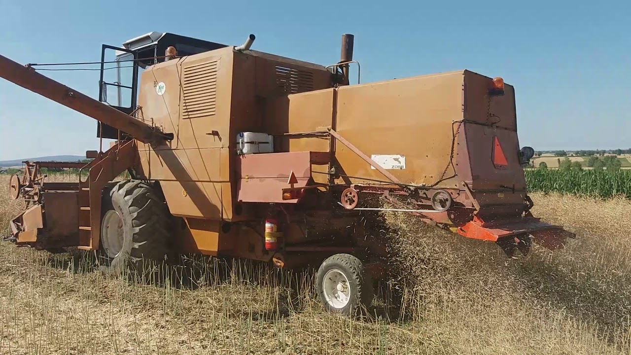 Żniwa 2018  Bizon Świętokrzyskie rzepak