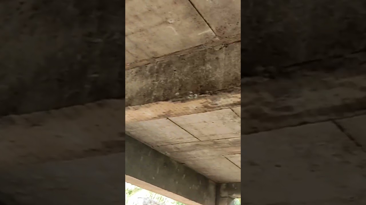 How to Find Depth of Beam #Shorts #civilengineeringvlog