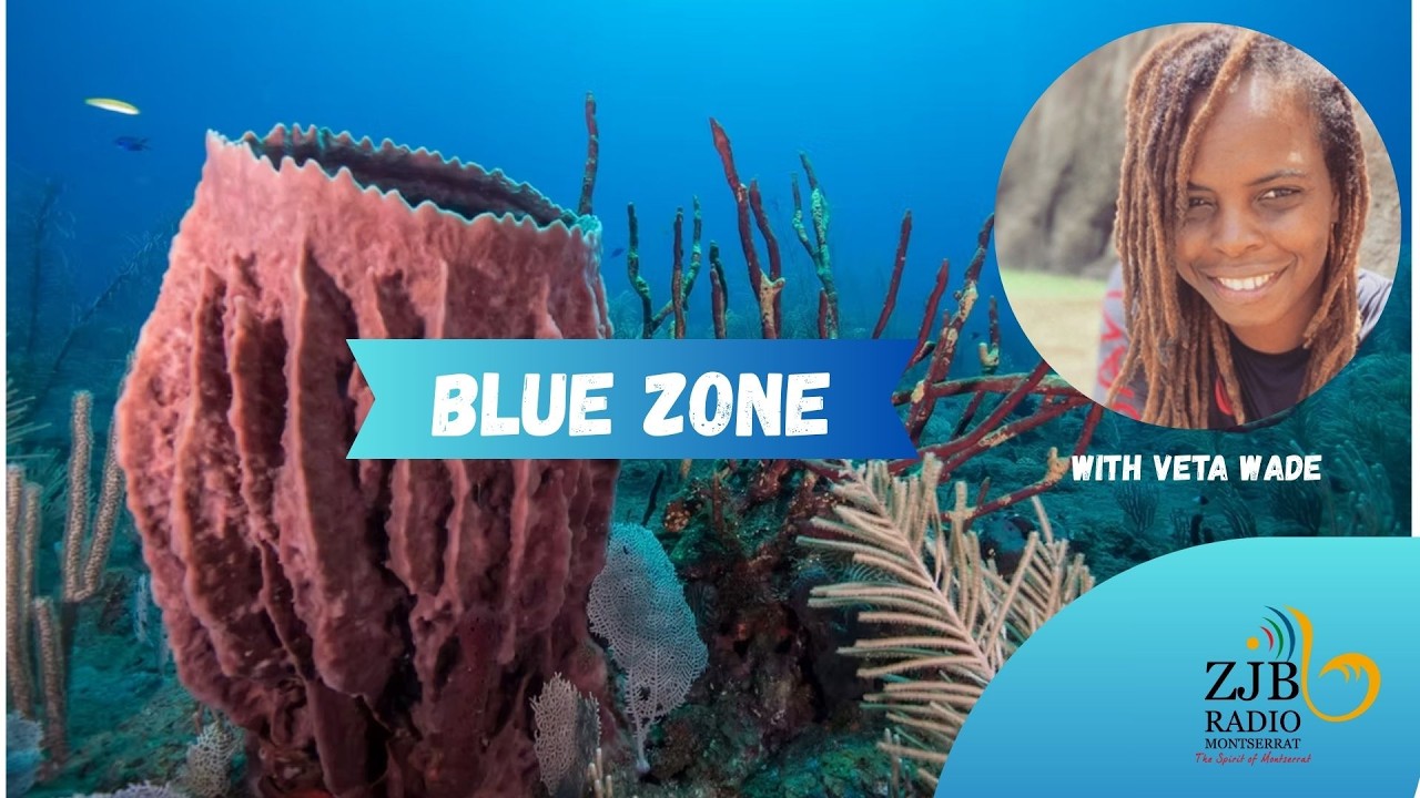 Blue Zone