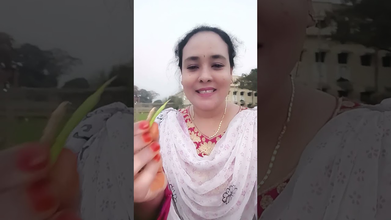 হ্যালো গাইস দেখো আজকে আমি কোথায় চলে আসছি 