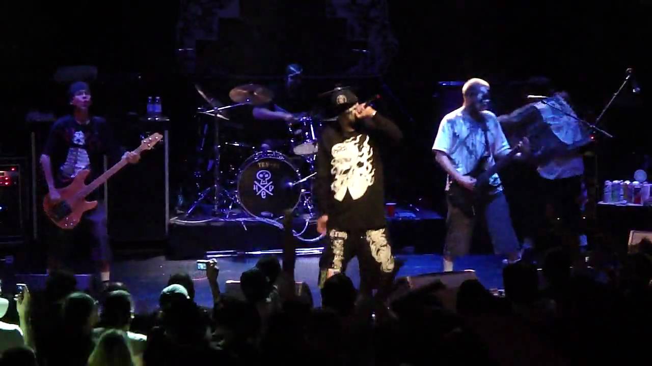 HED PE LIVE  RENEGADE