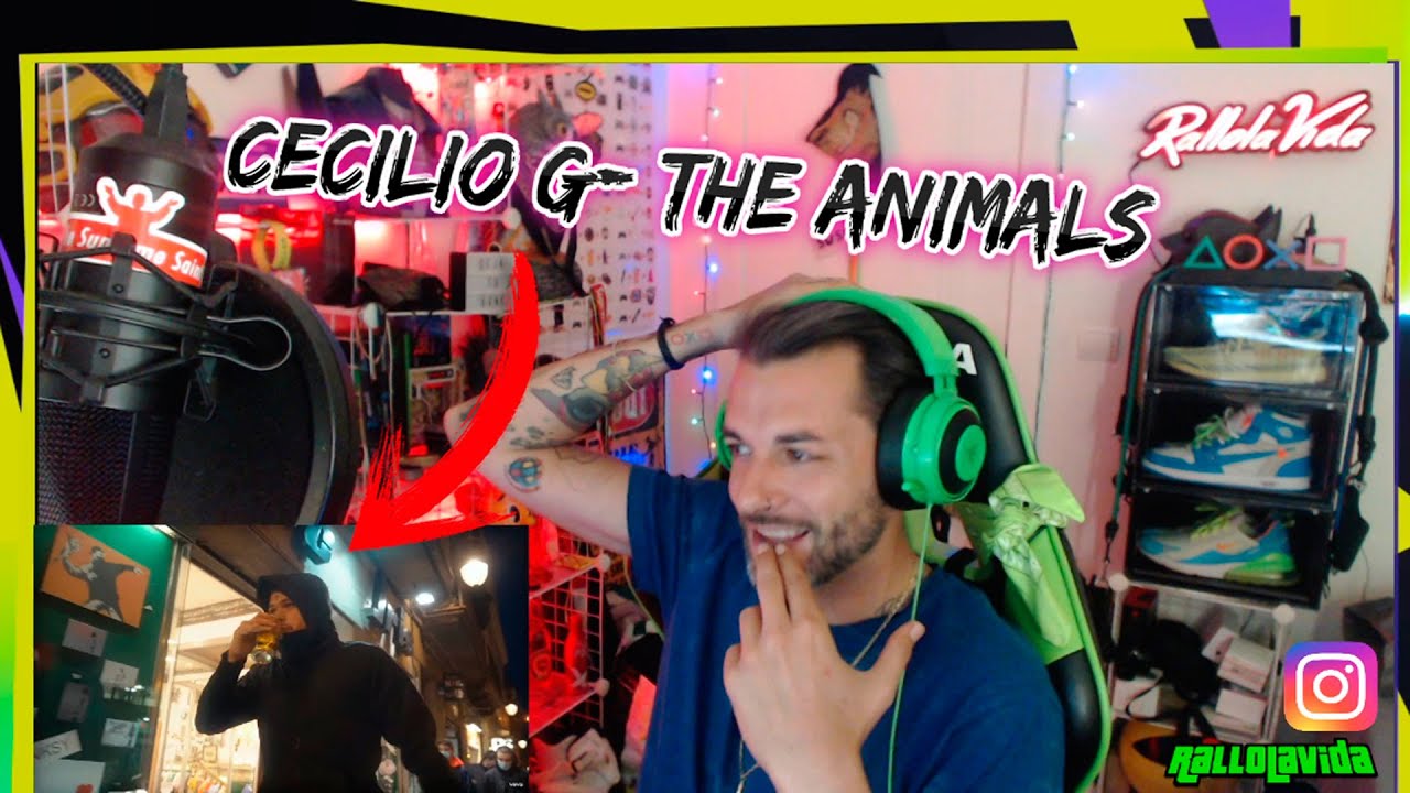 REACCION: CECILIO G- THE ANIMALS