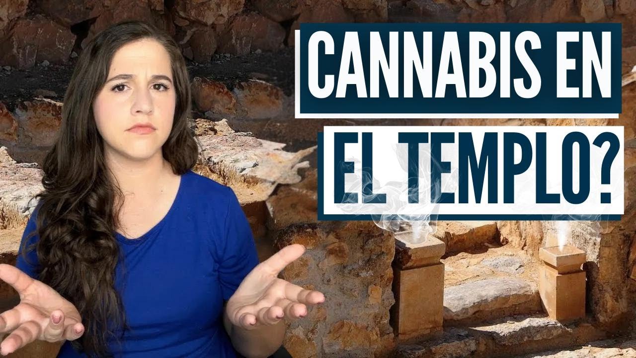 ¡ABOMINACIÓN EN EL TEMPLO DE JUDEA! Israel con Aline
