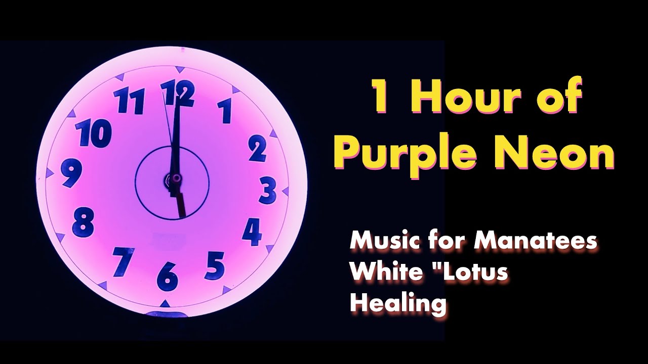 1 Hour of Purple Neon - 