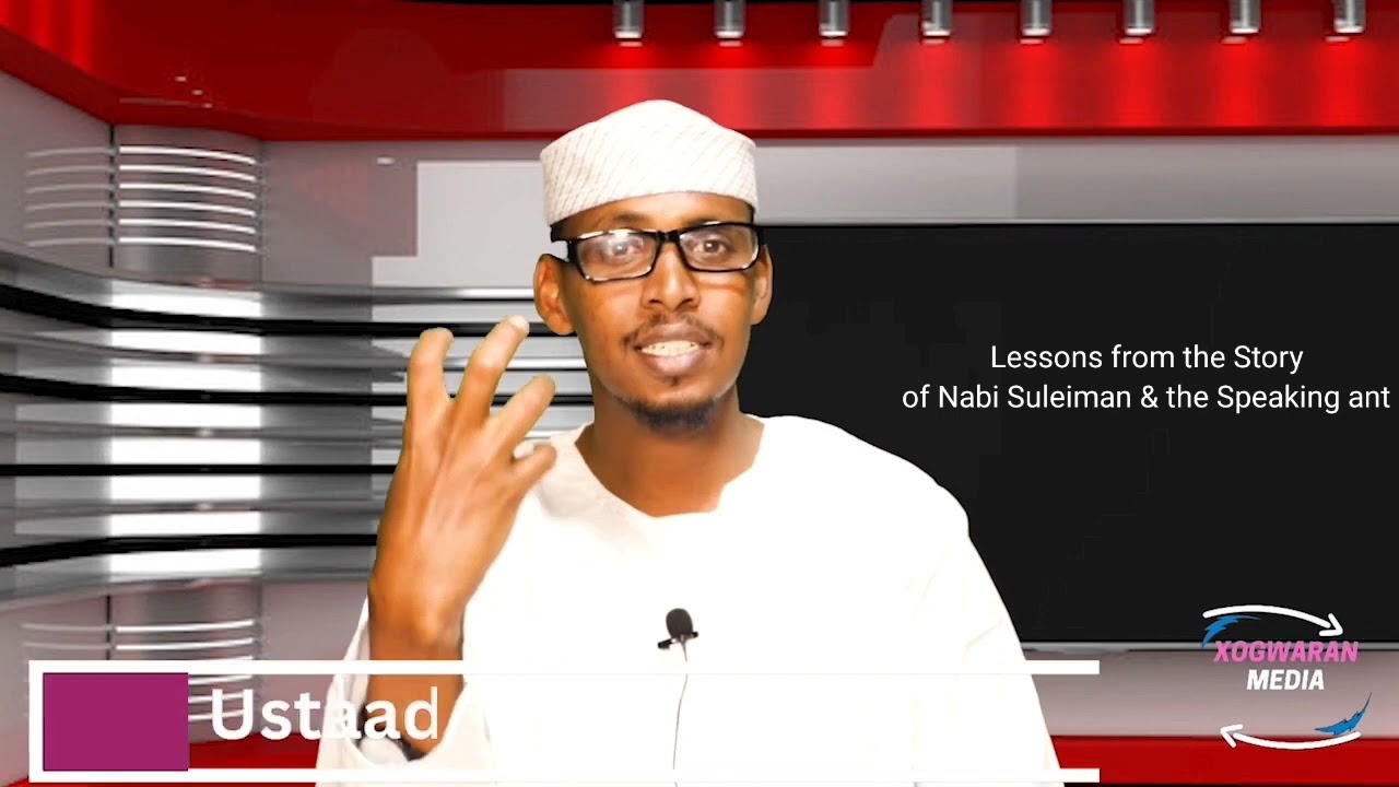 The miracles of The Speaking ant in the quran and  the scientific discoveries of ants lifestyle