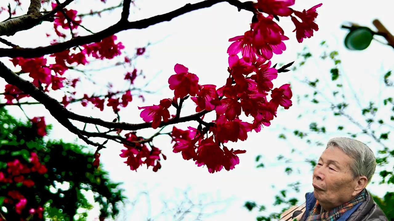 虎林公園
