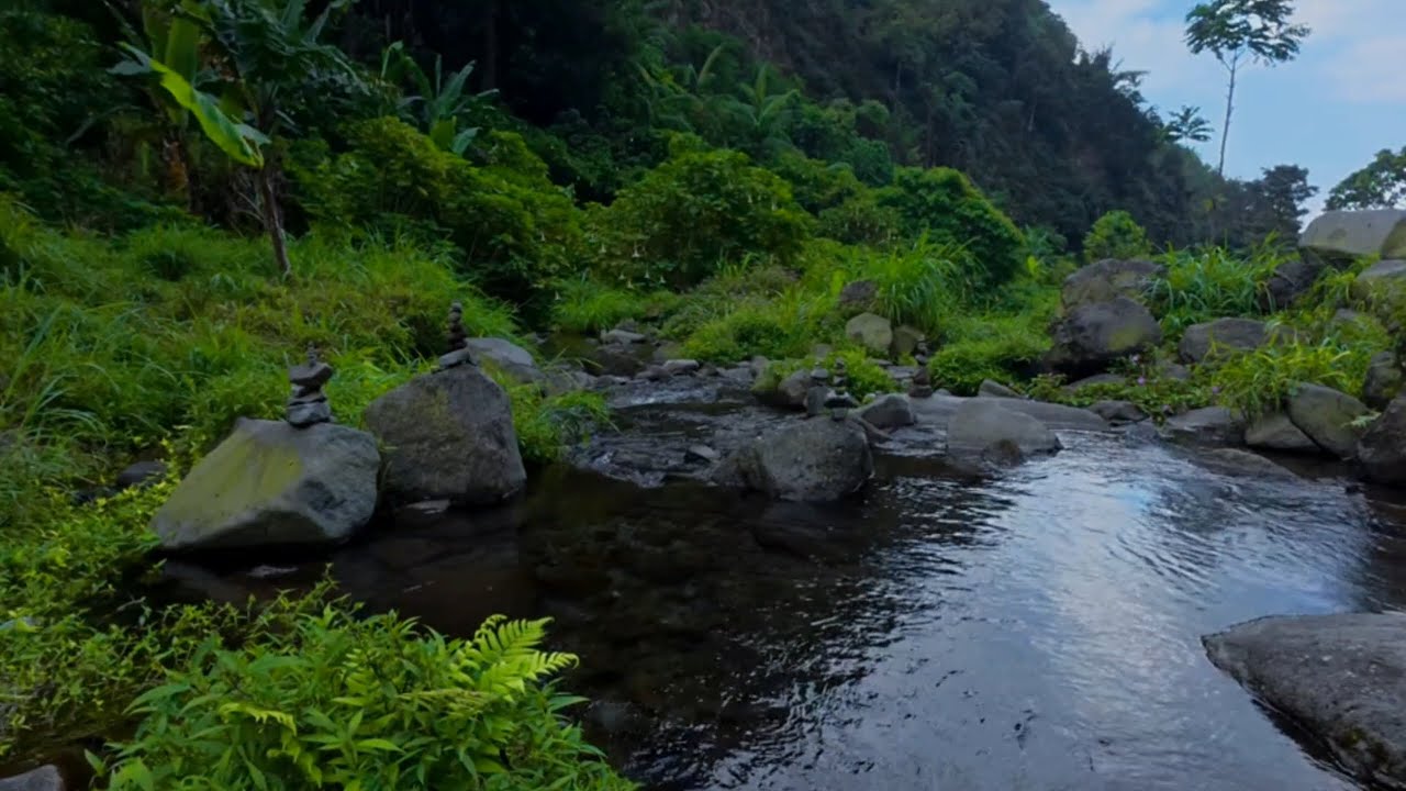 This Gentle River Sound Creates Emotional Stillness 🌊 Nature Sounds