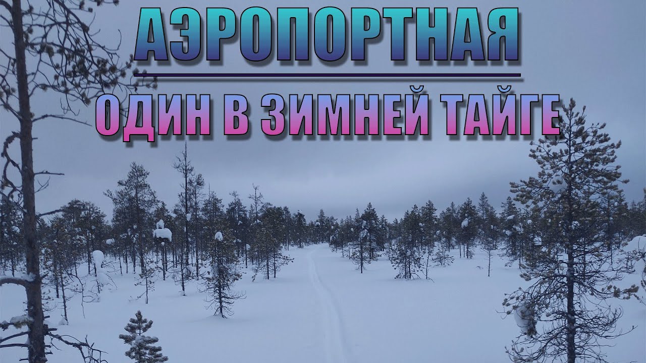 ПЕРВЫЙ ОДИНОЧНЫЙ ПОХОД в ТАЙГУ/Аэропортная. 11.02.22-12.02.22