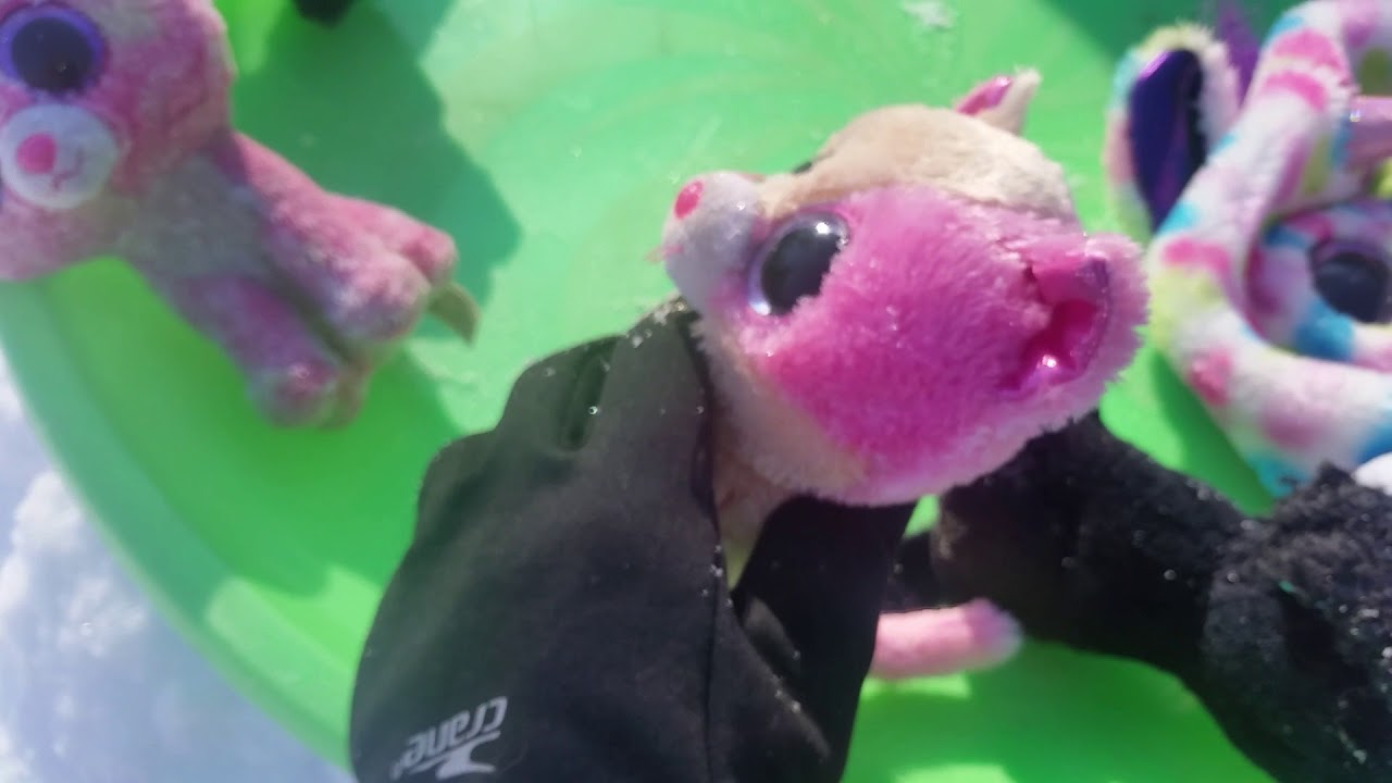 BBP: Beanie Boos Go Sled Riding!!!