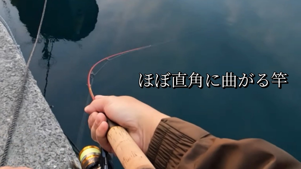 簡単に釣れるこの釣りが楽し過ぎる！