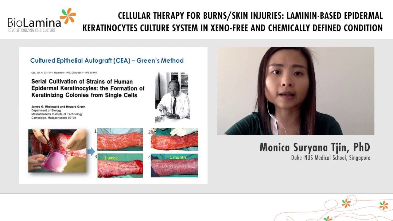 BioLamina Rising Stars - Monica Tjin
