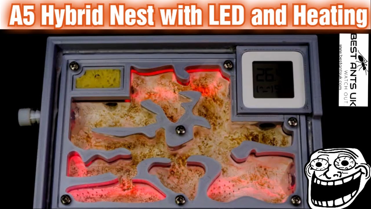 Best Ants UK A5 Hybrid Nest with LED and Heating Review