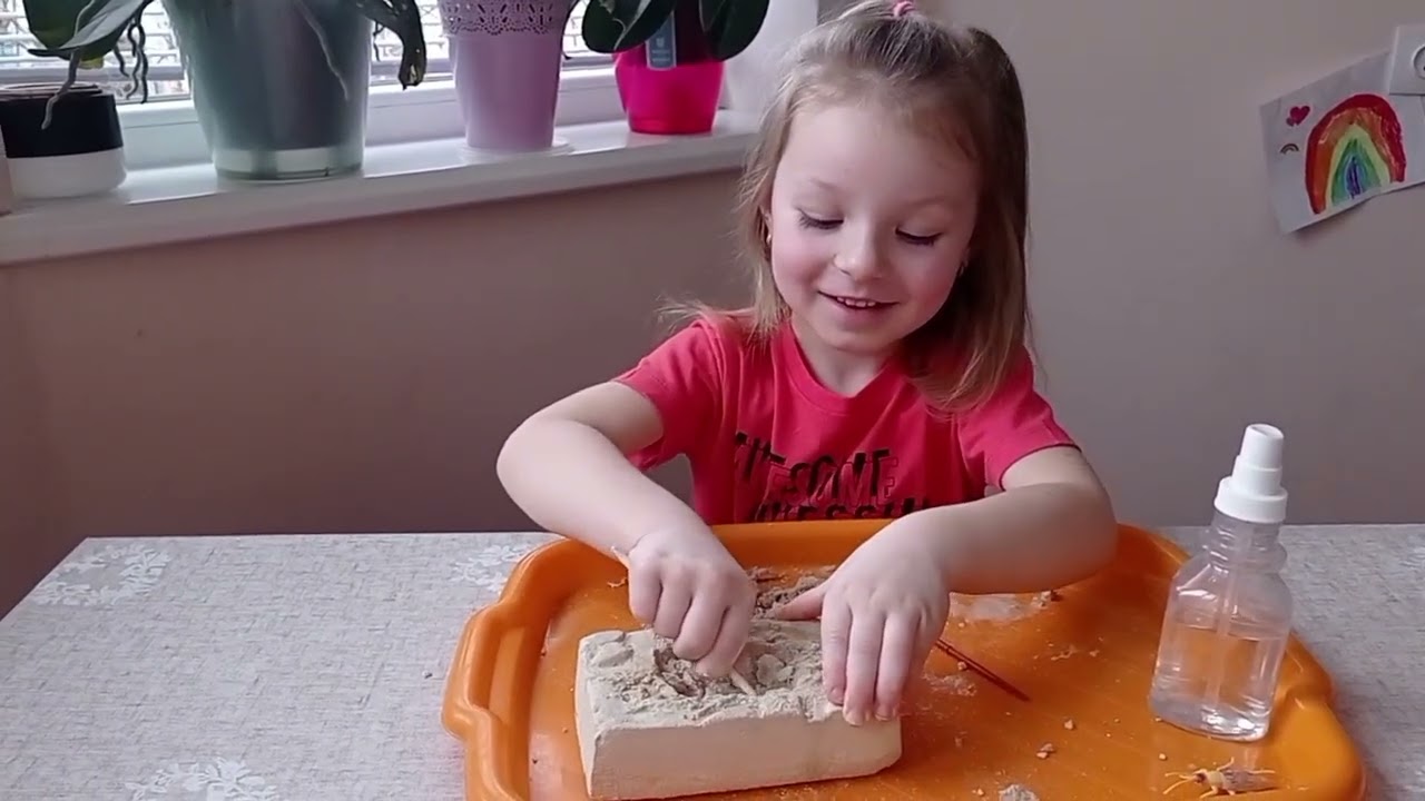 Проводимо розкопки. Шукаємо жучків. Bugs excavation