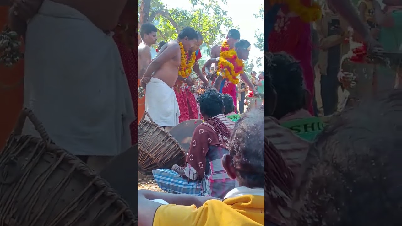 cg culture aadiwasi  diyaari culture