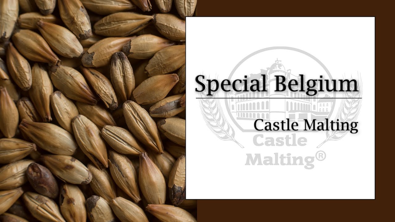 Ch&acirc;teau Special Belgium | Malt Review | Castle Malting TV