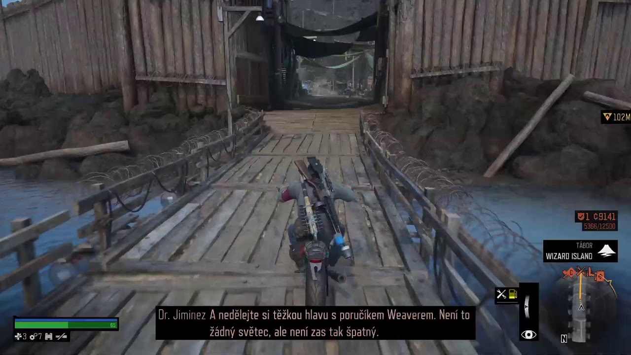 Days Gone #20