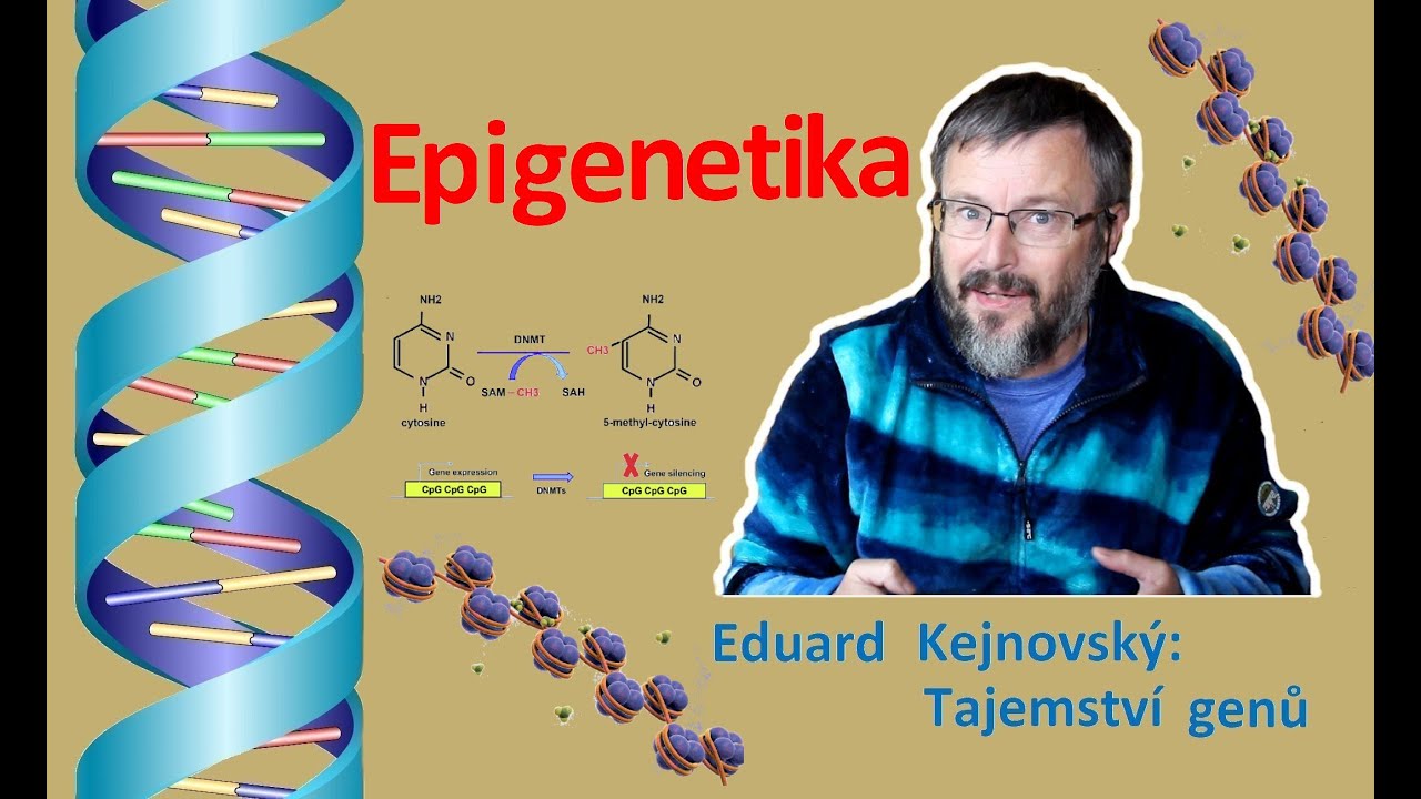 Epigenetika (Tajemstv&iacute; genů 47)