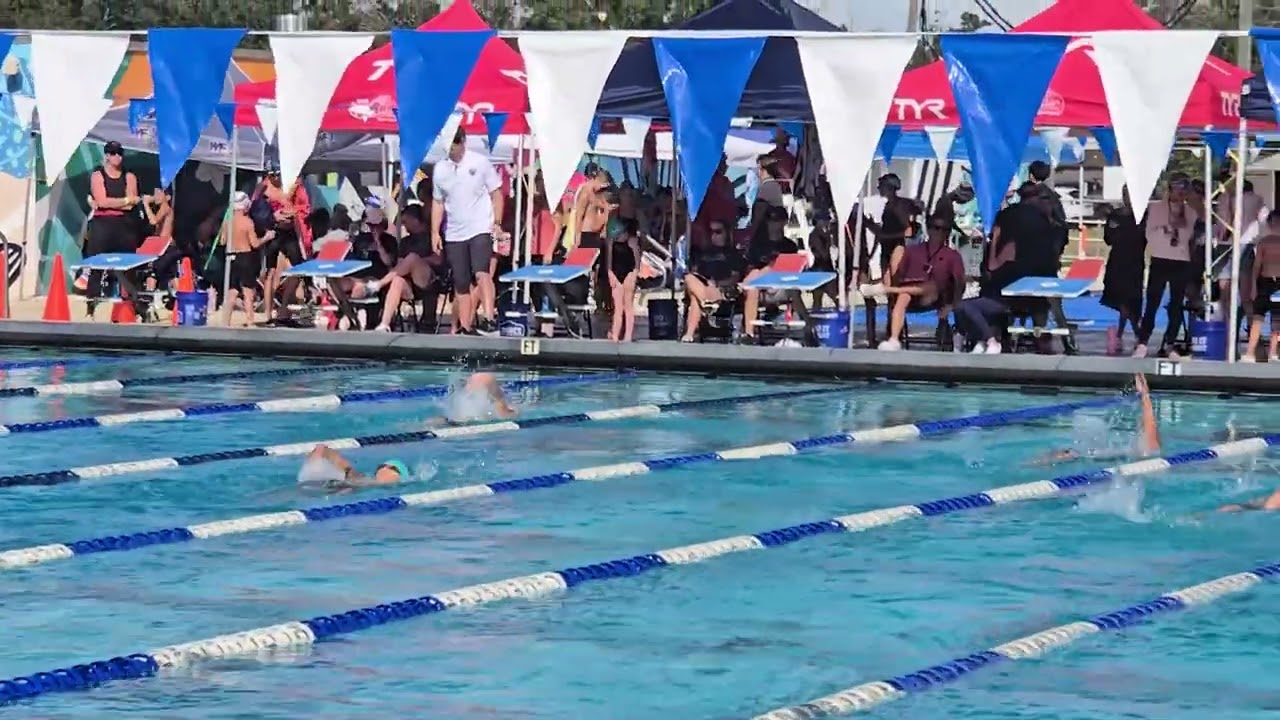 Colt 100 back, heat winner