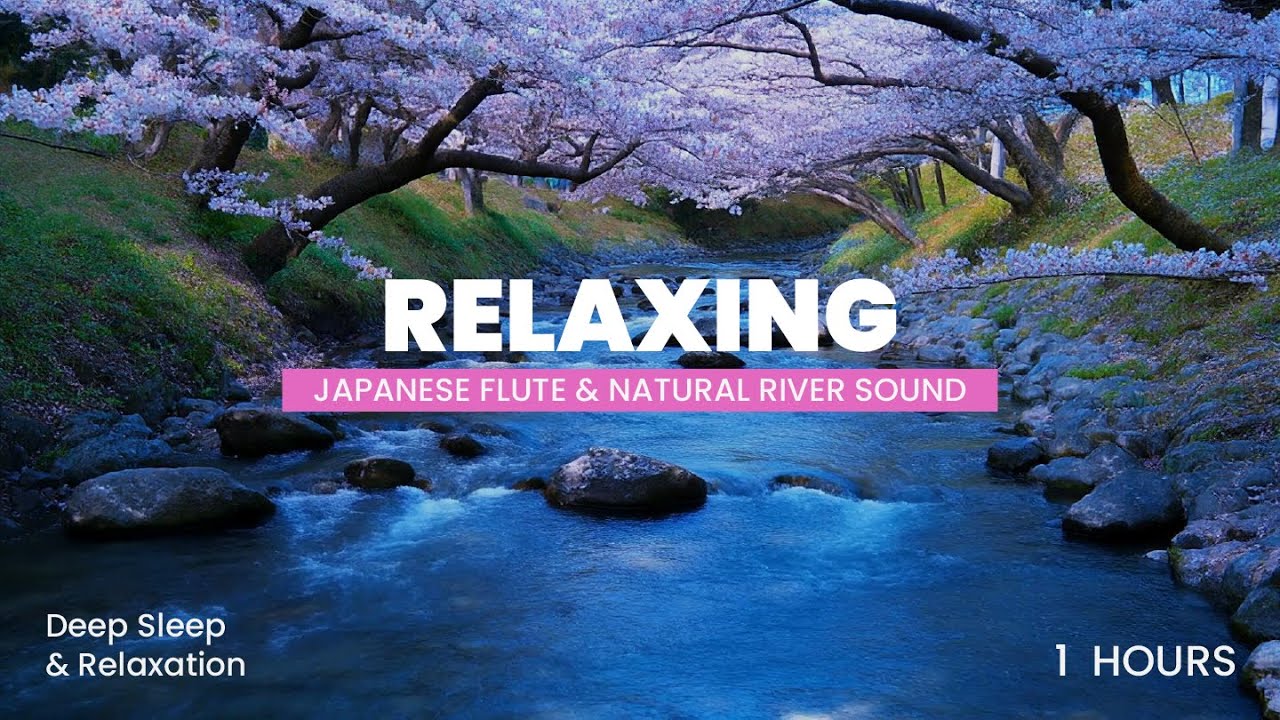 Gentle River Flow & Zen Flute ASMR for Deep Focus and Calm Mind 🌿💧