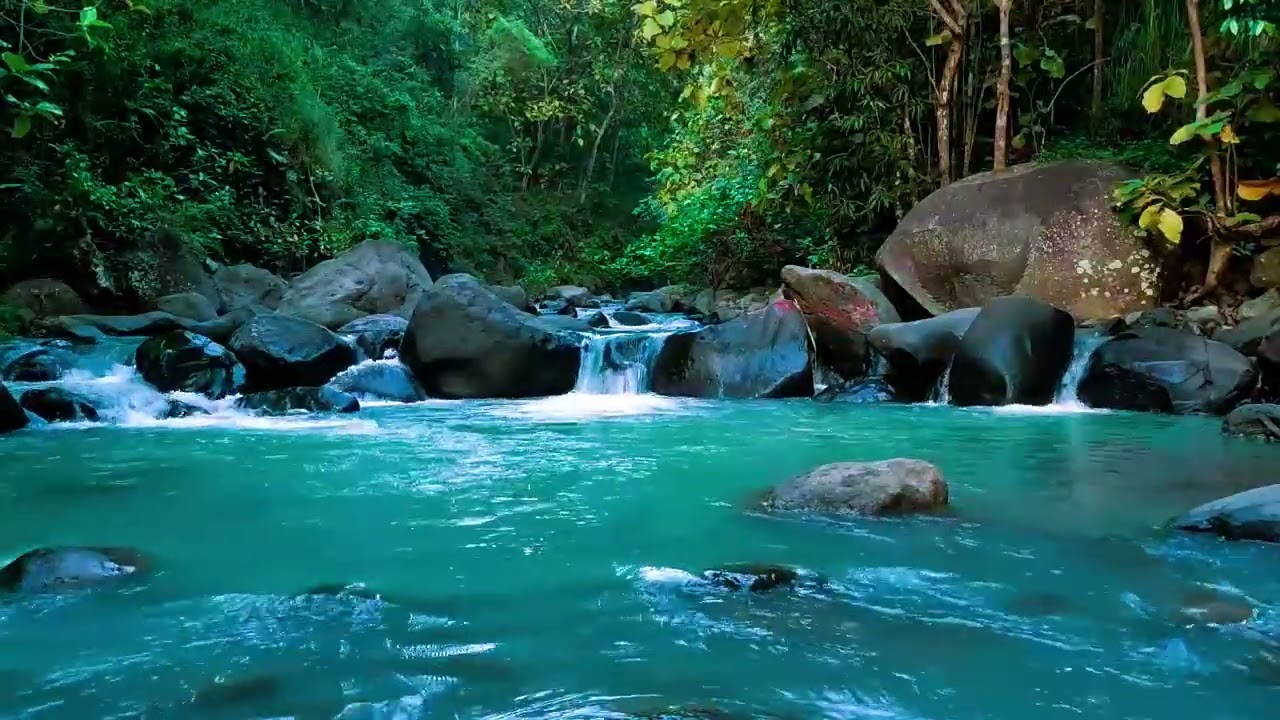 Relax in Beautiful Forest, Peaceful Forest Stream - Nature Sounds, Forest Ambience