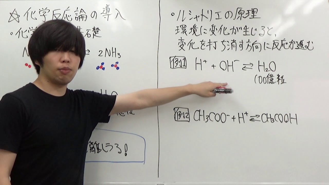 【高校化学】化学反応論の導入（化学平衡の基礎など）【無機化学#3.5】