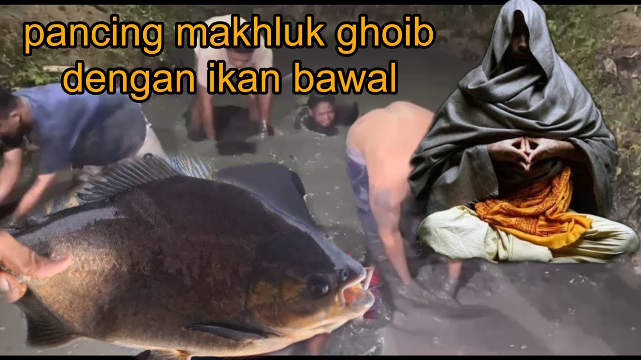 MAKHLUK PENGHUNI KOLAM DI ACAK