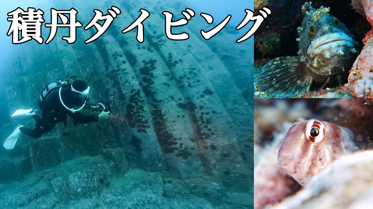 【北海道】積丹でダイビング