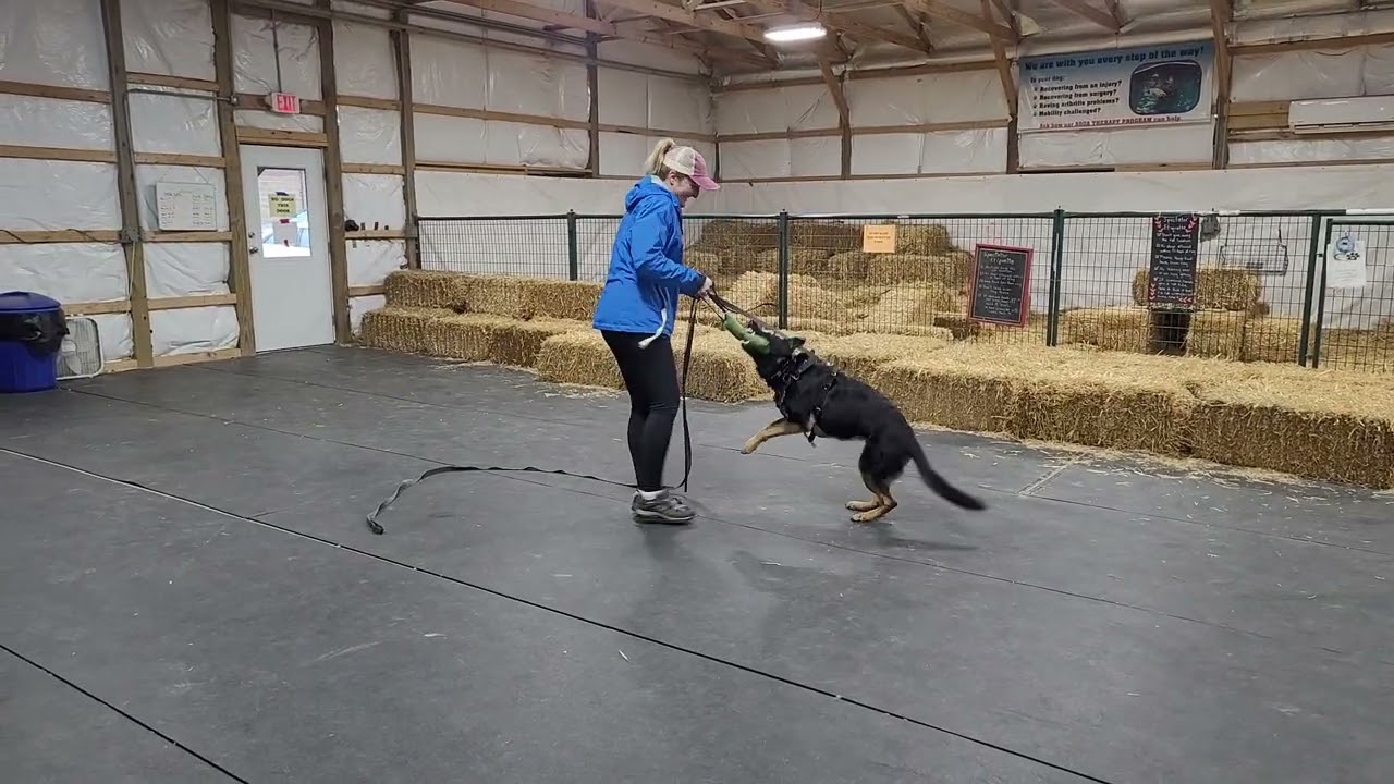 1/10/26 Secondary Obedience 