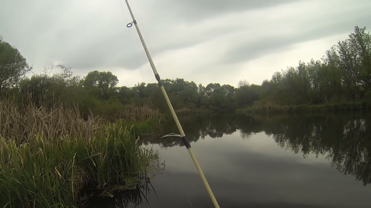 Атака на МЕЛКОВОДЬЕ! Щука у самого берега. / Shallow Water AMBUSH: Pike Attack in the Shallows!